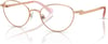 Swarovski Womens Sk1002 Oval Prescription Eyewear FramesRose GoldDemo Lens