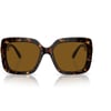 Havana/Polarized Brown