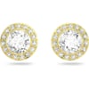 Pierced Stud Earrings - Gold Tone Finish