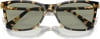 Swarovski Womens Sk6004 Rectangular SunglassesHavanaDark Green