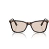 Dark Havana/Photochromic Brown