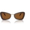 Swarovski Womens Sk6012 Butterfly SunglassesBrown Light BrownDark Brown