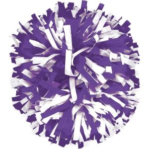 image1 inStock 2Color InStock Cheerleading Pom Sold IndividuallyPURPLE
