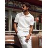 imagePJ PAUL JONES Mens V Neck Polo Shirt Textured Knit Slim Fit Golf TShirtsLvory