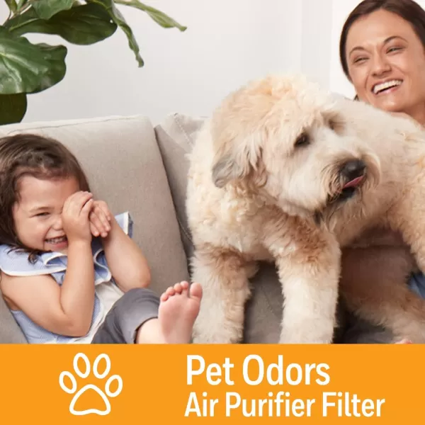Honeywell Air Purifier Filter for Pet Odor – Filter S for HPA3000 PowerPlus and HPA5000 Insight Series, HRFSP1