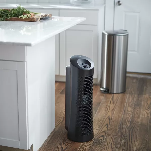 Honeywell HEPA Air Purifier, Airborne Allergen Reducer for Small Rooms , Black - Wildfire/Smoke, Pollen, Pet Dander, and Dust Air Purifier, HPA020