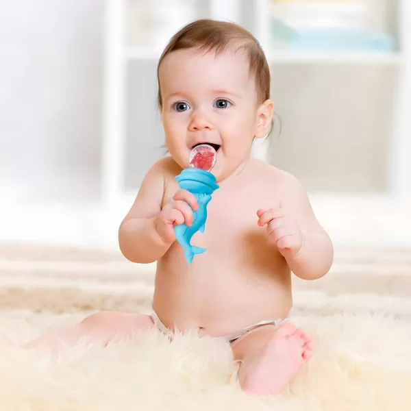 PandaEar 3 Pack Silicone Baby Food Fruit Pacifier Feeder Silicone Feeder Fruit Holder Sucker for Baby Infant with 3 Different Size Silicone Pouch Teething Feeder Dolphin