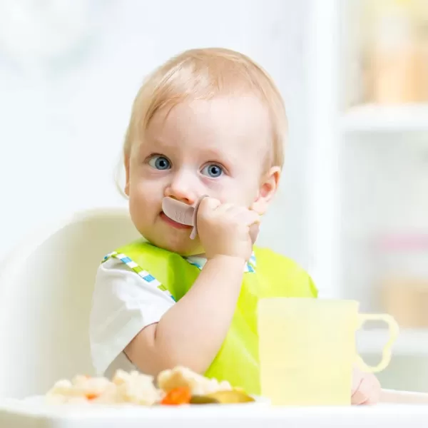 PandaEar 4 Pack Silicone Baby Spoons Forks Feeding Set Toddler Utensils Baby Led Weaning Supplies First Stage Baby Spoon Self Feeding 6 Months Old Baby EssentialsCarnation Grey