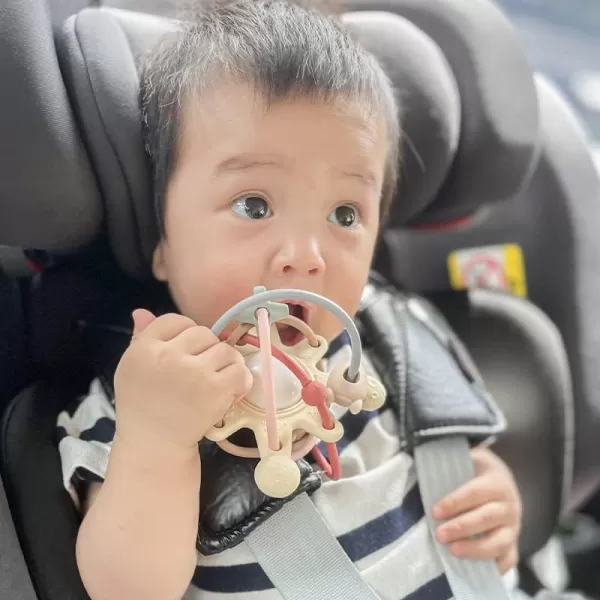 PandaEar Baby Sensory Toys 3 4 5 6 Months Silicone Montessori Toys Baby Teething Toy Infant Rattle Teether Chew Toy Teething Ball Developmental Toy for Babies 06 Months 6 to 12 Months