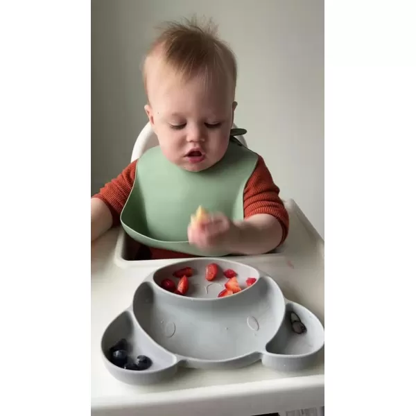 PandaEar Silicone Baby Feeding Set Baby Led Weaning Supplies 8 Pcs Divided Suction Plates Sippy Cup Spoons ampamp Forks for Toddler 6 Months