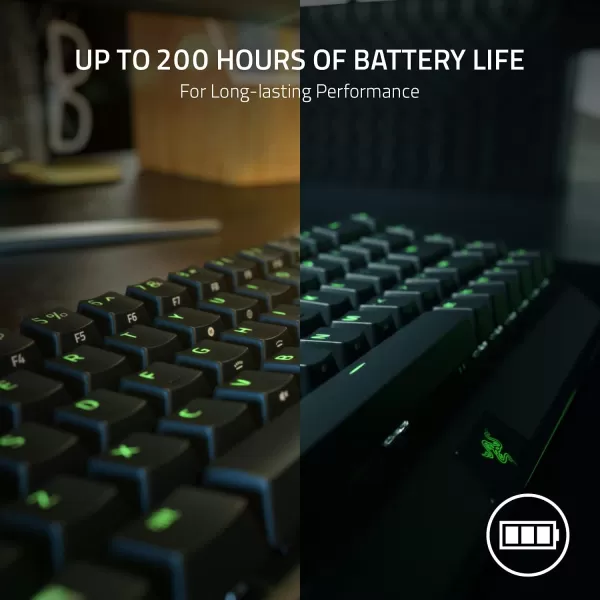 Razer BlackWidow V3 Mini HyperSpeed 65 Wireless Mechanical Gaming Keyboard Green Mechanical Switches Tactile ampamp Clicky  Phantom Pudding Keycaps  Chroma RGB  Up to 200 Hr Battery  Snap TapBlackWidow V3 Mini