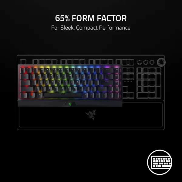 Razer BlackWidow V3 Mini HyperSpeed 65 Wireless Mechanical Gaming Keyboard Green Mechanical Switches Tactile ampamp Clicky  Phantom Pudding Keycaps  Chroma RGB  Up to 200 Hr Battery  Snap TapBlackWidow V3 Mini