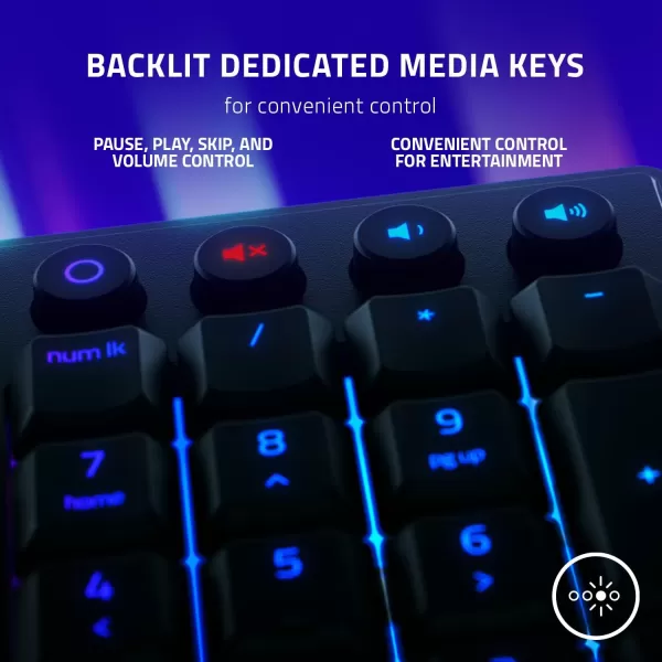 Razer Ornata V3 TKL Gaming Keyboard Low Profile Keys  Mecha Membrane Switches  UV Coated Keycaps  Backlit Media Keys  8 Zone RGB Lighting  Spill Resistant  Magnetic Wrist Wrest  Snap TapBlack