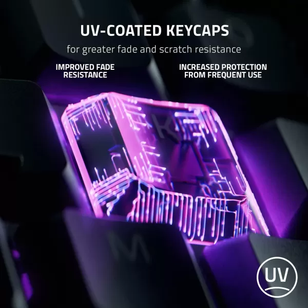 Razer Ornata V3 TKL Gaming Keyboard Low Profile Keys  Mecha Membrane Switches  UV Coated Keycaps  Backlit Media Keys  8 Zone RGB Lighting  Spill Resistant  Magnetic Wrist Wrest  Snap TapBlack
