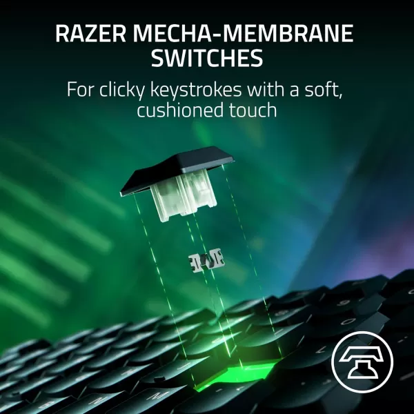 Razer Ornata V3 TKL Gaming Keyboard Low Profile Keys  Mecha Membrane Switches  UV Coated Keycaps  Backlit Media Keys  8 Zone RGB Lighting  Spill Resistant  Magnetic Wrist Wrest  Snap TapBlack