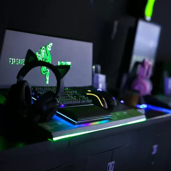 Razer Kitty Ears for Kraken Headsets Compatible with Kraken 2019 Kraken TE Headsets  Adjustable Strraps  Water Resistant Construction  Quartz PinkBlack Green