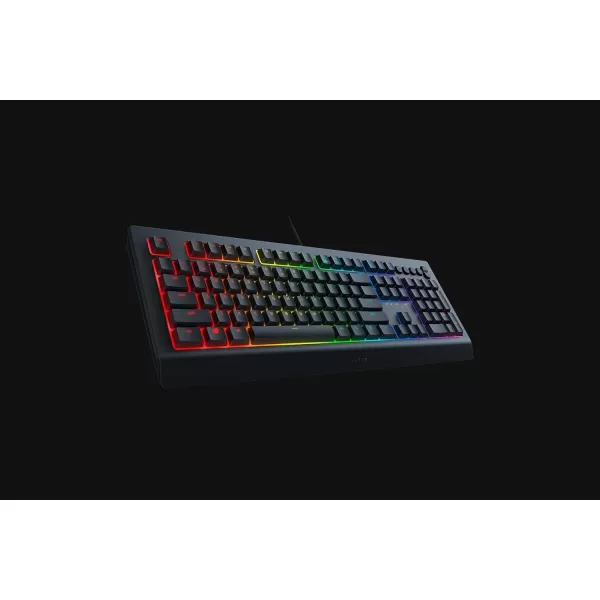Razer Cynosa V2 Gaming Keyboard Customizable Chroma RGB Lighting  Individually Backlit Keys  SpillResistant Design  Programmable Macro Functionality  Dedicated Media Keys