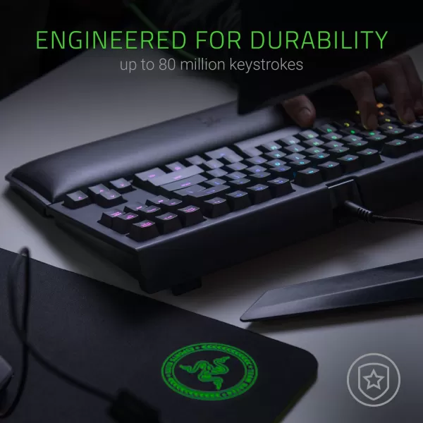 imageRazer BlackWidow TE Chroma v2 TKL Tenkeyless Mechanical Gaming Keyboard Green Key Switches Tactile ampamp Clicky Chroma RGB Lighting Magnetic Wrist Rest Programmable Macros Classic BlackGreen Switches  Tactile  Clicky