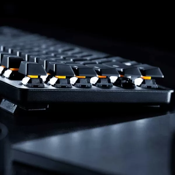 imageRazer BlackWidow TE Chroma v2 TKL Tenkeyless Mechanical Gaming Keyboard Green Key Switches Tactile ampamp Clicky Chroma RGB Lighting Magnetic Wrist Rest Programmable Macros Classic BlackLite TKL