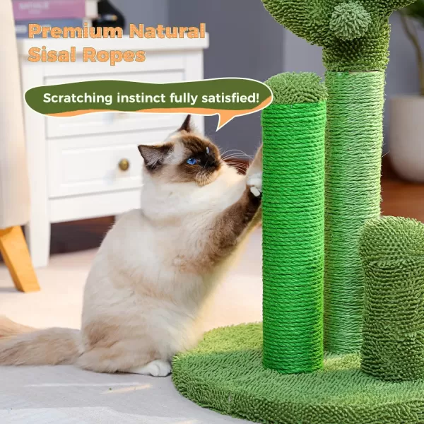 PAWZ Road Cat Scratching Post Cactus Cat Scratcher Featuring with 3 Scratching Poles and Interactive Dangling Ball Medium 23 InchesGreen