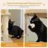 imagePAWZ Road Tall Cat Tower 70 Inch Cat Tree with Hammock 5 Scratching Posts 2 Condos and a Large Top Perches for Large CatsBeige