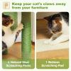 imagePAWZ Road Tall Cat Tower 70 Inch Cat Tree with Hammock 5 Scratching Posts 2 Condos and a Large Top Perches for Large CatsCactus Green
