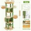 imagePAWZ Road Tall Cat Tower 70 Inch Cat Tree with Hammock 5 Scratching Posts 2 Condos and a Large Top Perches for Large CatsCactus Green