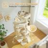 imagePAWZ Road Cat Tree 516 Inches Cat Tower with Dual Condos Spacious Perch Cozy Basket and SisalCovered Scratching Posts for Indoor Cats BeigeBeige