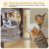imagePAWZ Road Cat Tree for Indoor Cats 26 Inches Cat Tower with Large Perch Private Condo Small Cat Condo with Spring Ball ampamp 2 Scratching Posts for CatsGrayCat Post with Condo