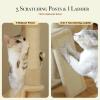 imageFloor to Ceiling Cat Tree Height 85112 Inches Adjustable Tall Cat Tower 7 Tiers Activity Climbing Tower Large Cat Tree with Cozy Hammocks 5 Platforms and Scratching Posts for Indoor CatsBeigeCream