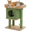 imagePAWZ Road 38quot MultiLevel Cactus Cat Tree with Scratching Posts Cozy Condo and Hammock  Stylish Cat Tower for Indoor CatsCactus Green
