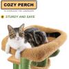 imagePAWZ Road 38quot MultiLevel Cactus Cat Tree with Scratching Posts Cozy Condo and Hammock  Stylish Cat Tower for Indoor CatsCactus Green