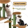imagePAWZ Road 38quot MultiLevel Cactus Cat Tree with Scratching Posts Cozy Condo and Hammock  Stylish Cat Tower for Indoor CatsCactus Green