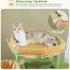 imagePAWZ Road 38quot MultiLevel Cactus Cat Tree with Scratching Posts Cozy Condo and Hammock  Stylish Cat Tower for Indoor CatsCactus Green