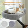 imagePAWZ Road Cat Desk Bed for Indoor Cats Cat Bed for Desk Supports Up to 50 lbs 360 Rotation ampamp Adjustable Nest Desktop Attachment Cats Hammock for Table GrayGray