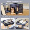 imagePAWZ Road 54 Inch Cat Tree with Condo ampamp MultiLevel Platforms Sisal Scratching Posts ampamp Pad and Hanging Balls for Indoor CatsDark Drey