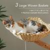 image:imagePAWZ Road Modern Cat Tree with Natural Solid Wood Scratching Post 40 Inches Cat Tower with Large Wicker BasketSpacious HammockLuxury Condo for Indoor CatsBrownBrown