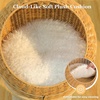 image:imagePAWZ Road Elephant Wicker Cat Bed IndoorampOutdoor Handwoven PE Rattan Cat Condo with Removable Cushion Breathable Waterproof Pet House Furniture for Indoor CatsDinosaur