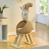 image:imagePAWZ Road Elephant Wicker Cat Bed IndoorampOutdoor Handwoven PE Rattan Cat Condo with Removable Cushion Breathable Waterproof Pet House Furniture for Indoor CatsDinosaur