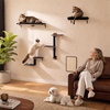 image:imagePAWZ Road Cat Wall Shelves Wood Cat Wall Furniture with Perches amp Scratching Posts 5in1 Modern Climbing Set with Scratcher Pads amp Climbing Ropes for Indoor CatsBeigeBlack
