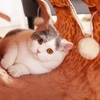 image:imageCat Scratching Post Bed Bundle with Collapsible Tunnel