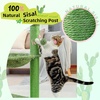 image:imagePAWZ Road 26 Inches Cactus Cat Tower with Large Perch amp 33 Inches Cat Tower with Groomer Hammock for Indoor Cats