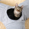 image:imagePAWZ Road 3 Way Cat Tunnel Bundle with Cat Scratching Post Bed