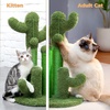 image:imagePAWZ Road Cactus Cat Donut Tunnel amp Cactus Scratching Post with 3 Scratching Posts