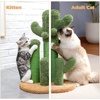 image:imagePAWZ Road Cactus Cat Scratching Post with 3 Scratching Poles amp Cactus Cat Donut Tunnel with Flower Mat