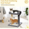 image:imagePAWZ Road Cat Scratching Post Bed with Play Ball and Large Donut Tunnel for Indoor Cats