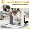 image:imagePAWZ Road Cat Scratching Post Bed with Play Ball and Large Donut Tunnel for Indoor Cats