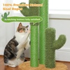 image:imagePAWZ Road Cat Scratching Post Cactus Cat Scratcher Featuring with 3 Scratching Poles and Interactive Dangling Ball Bundle with Cat Tunnel 51 Inches Long Cat Toys Collapsible Tunnel