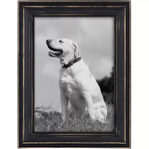Kate and Laurel Bordeaux Coastal Gallery Wall Kit Set of 10 with Assorted Size Frames in 3 Different Finishes White Blue and GrayBlack