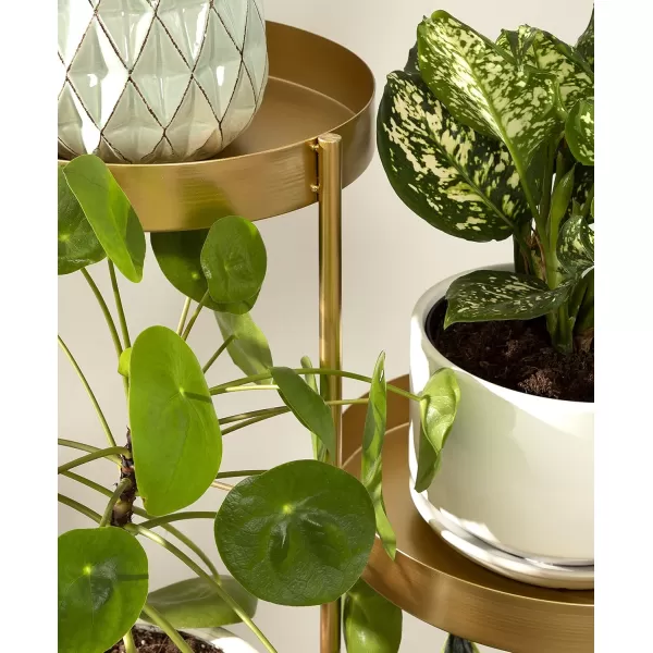 Kate and Laurel Finn Modern 4Tier Plant Stand 10 x 11 x 44 Bronze Folding Lightweight Plant Stand for Decorative Display and StorageGold